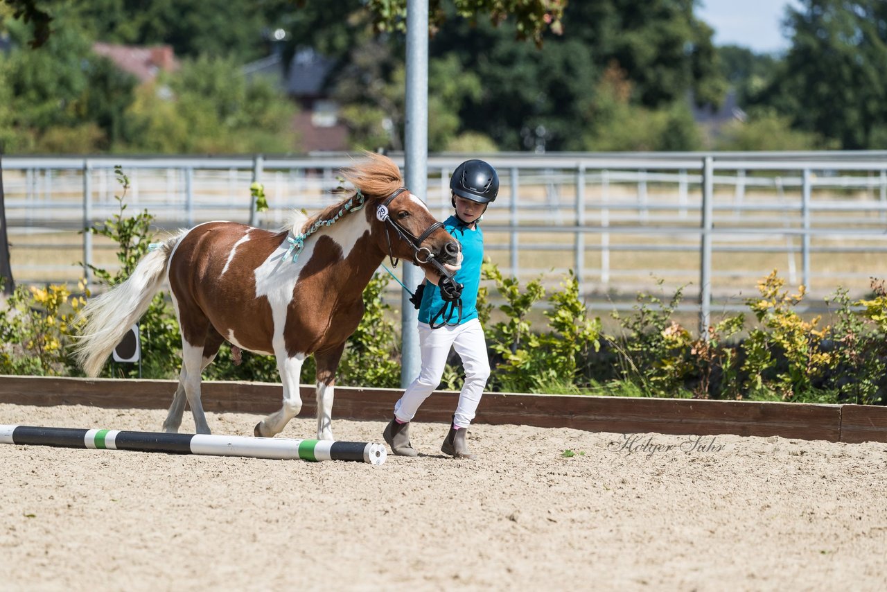 Bild 207 - Pony Akademie Turnier